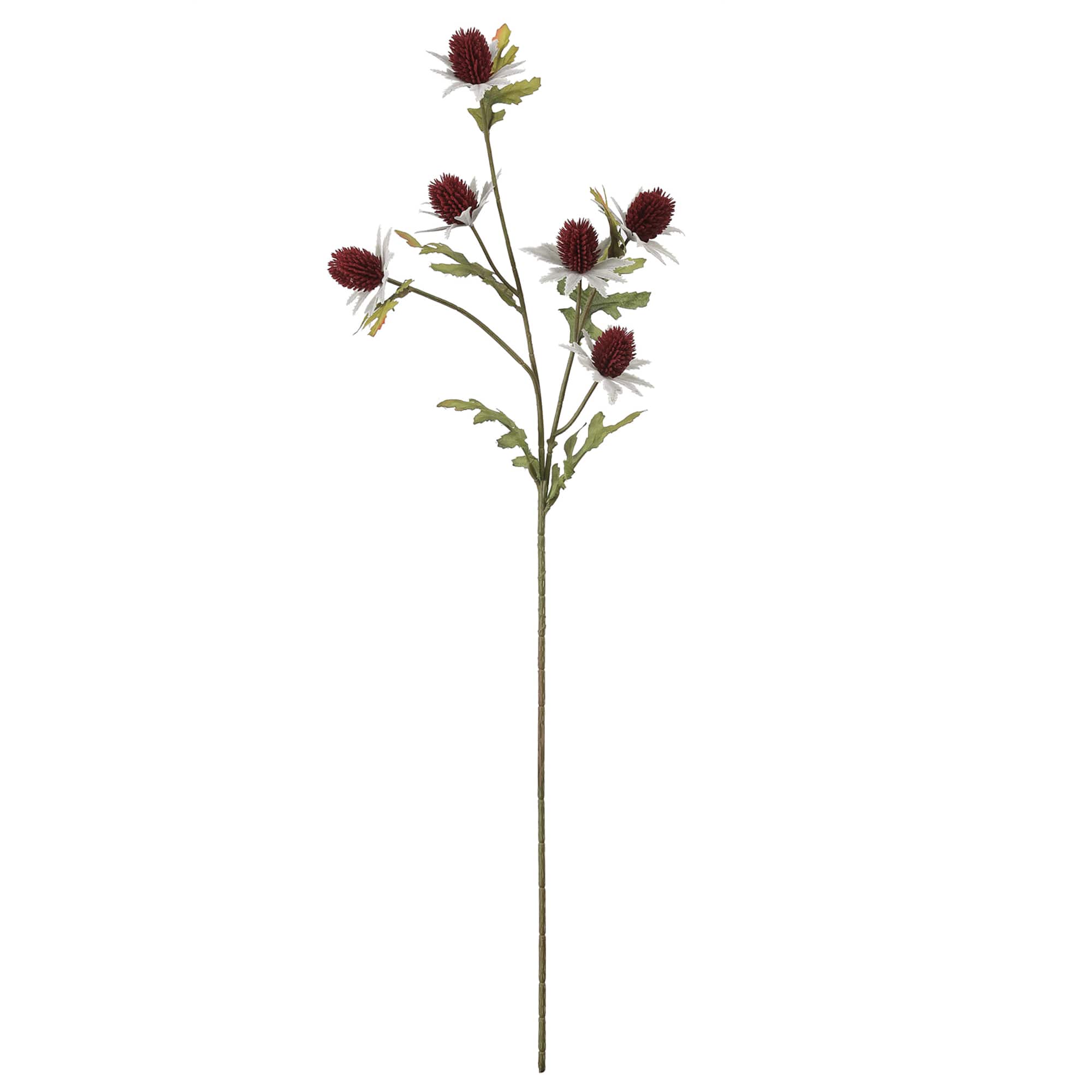 28" Burgundy Thistle Stem by Ashland®